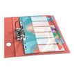 4049793076423-Esselte Colour'Breeze - Intercalaire 6 positions - A4 - polypropylène multicolore-Angle gauche-2